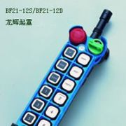 _b-BF21-12D/BF21-12s Yuding explosion proof remote controller